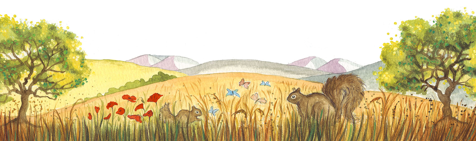 Summer footer image