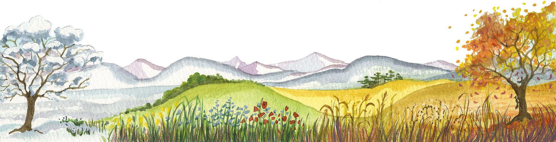 Four seasons
