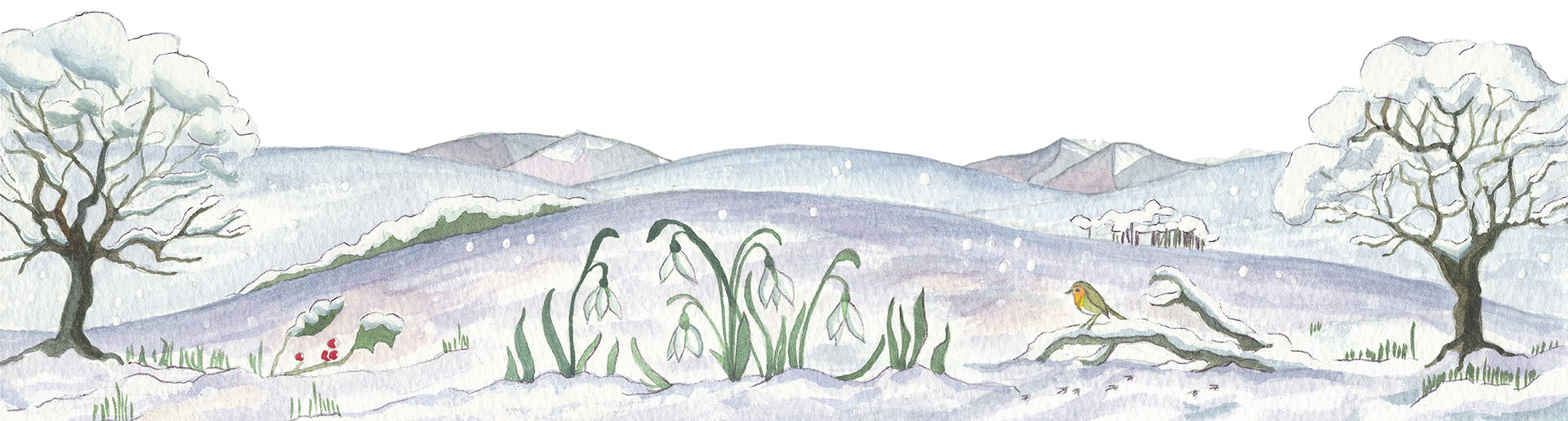 Four Seasons Image