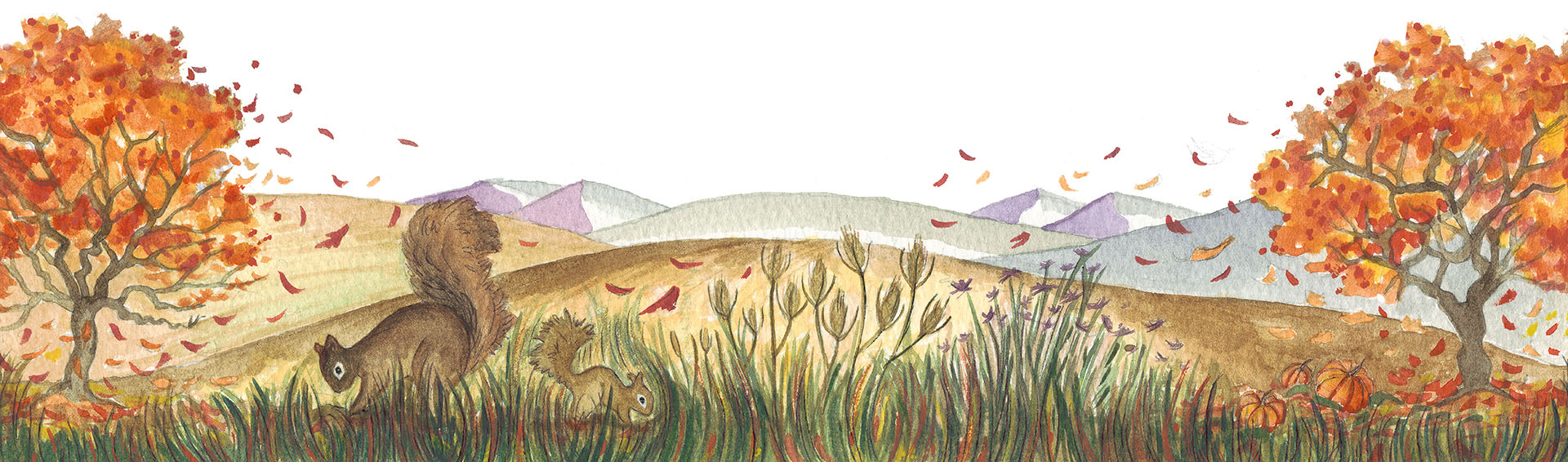 Spring footer image